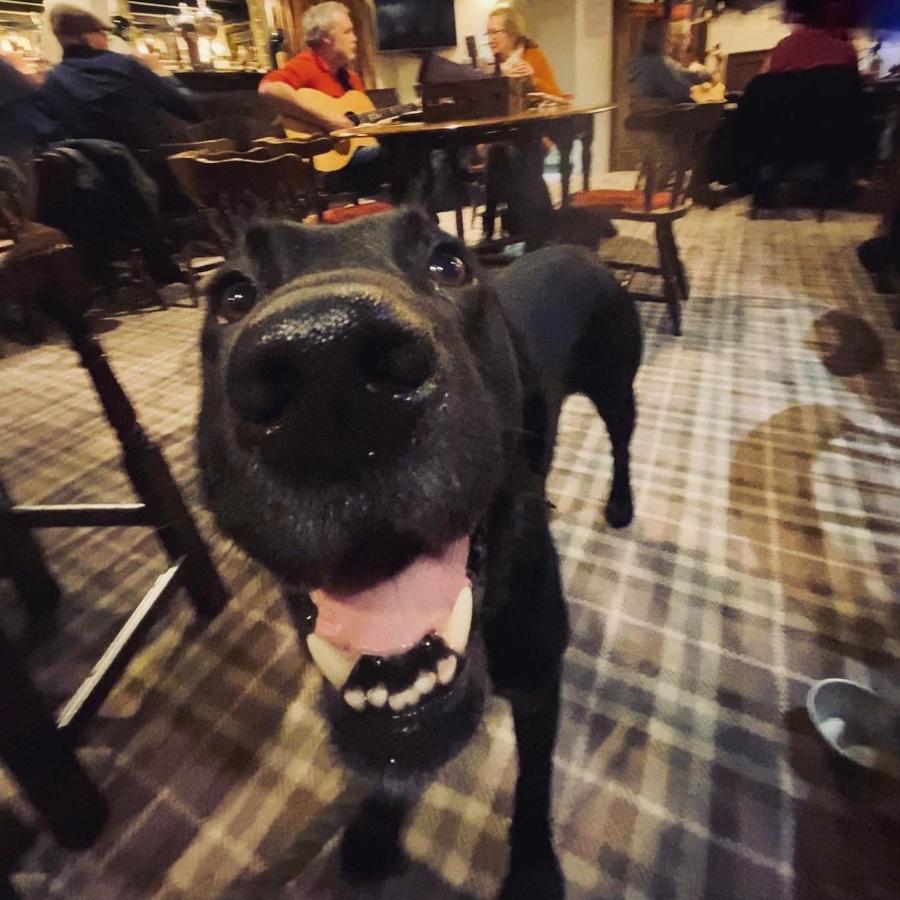 Bower House Inn Eskdale Εξωτερικό φωτογραφία